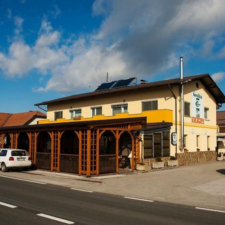 Guest House Celan Spodnja Hajdina Bagian luar foto