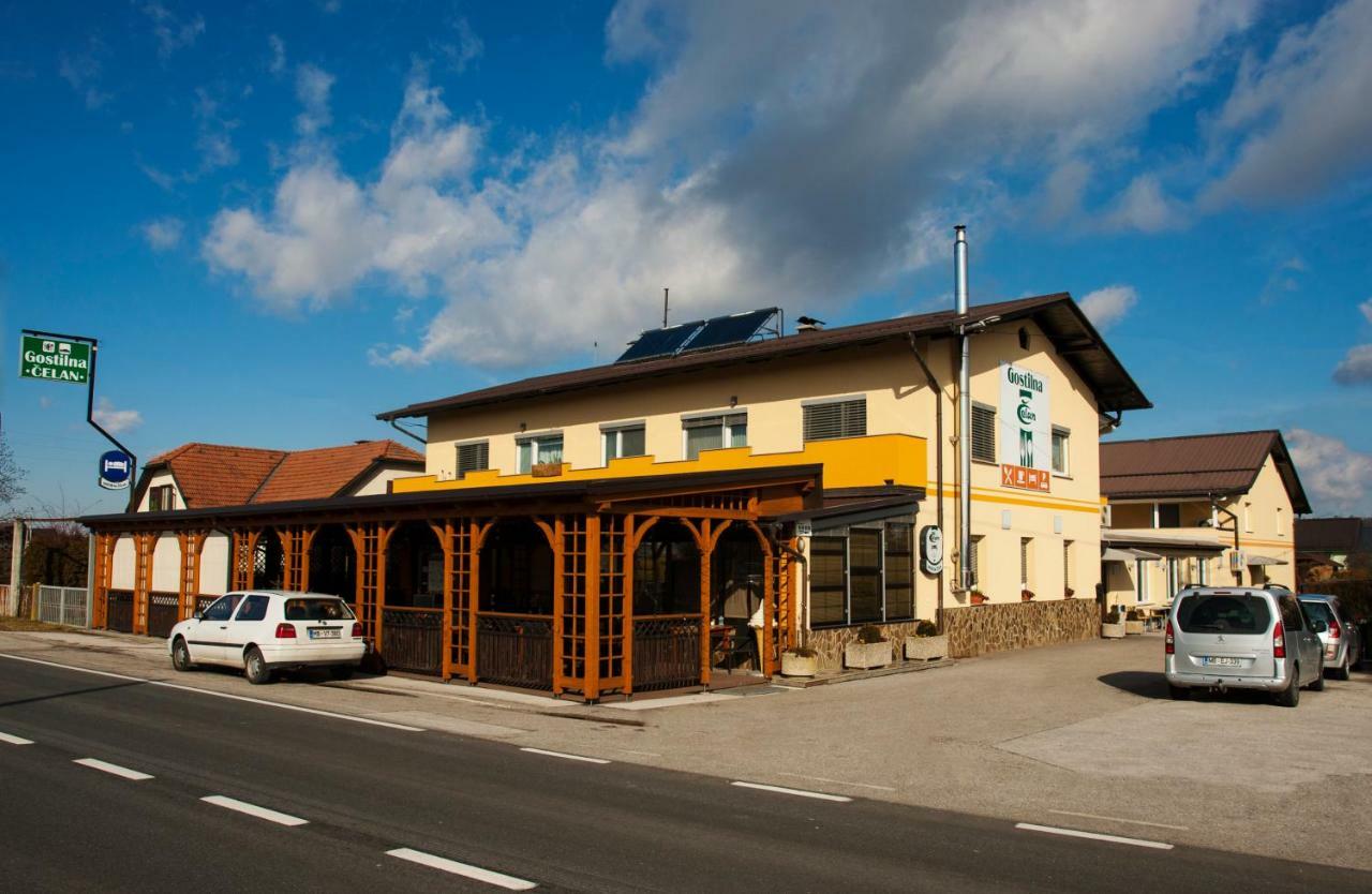 Guest House Celan Spodnja Hajdina Bagian luar foto