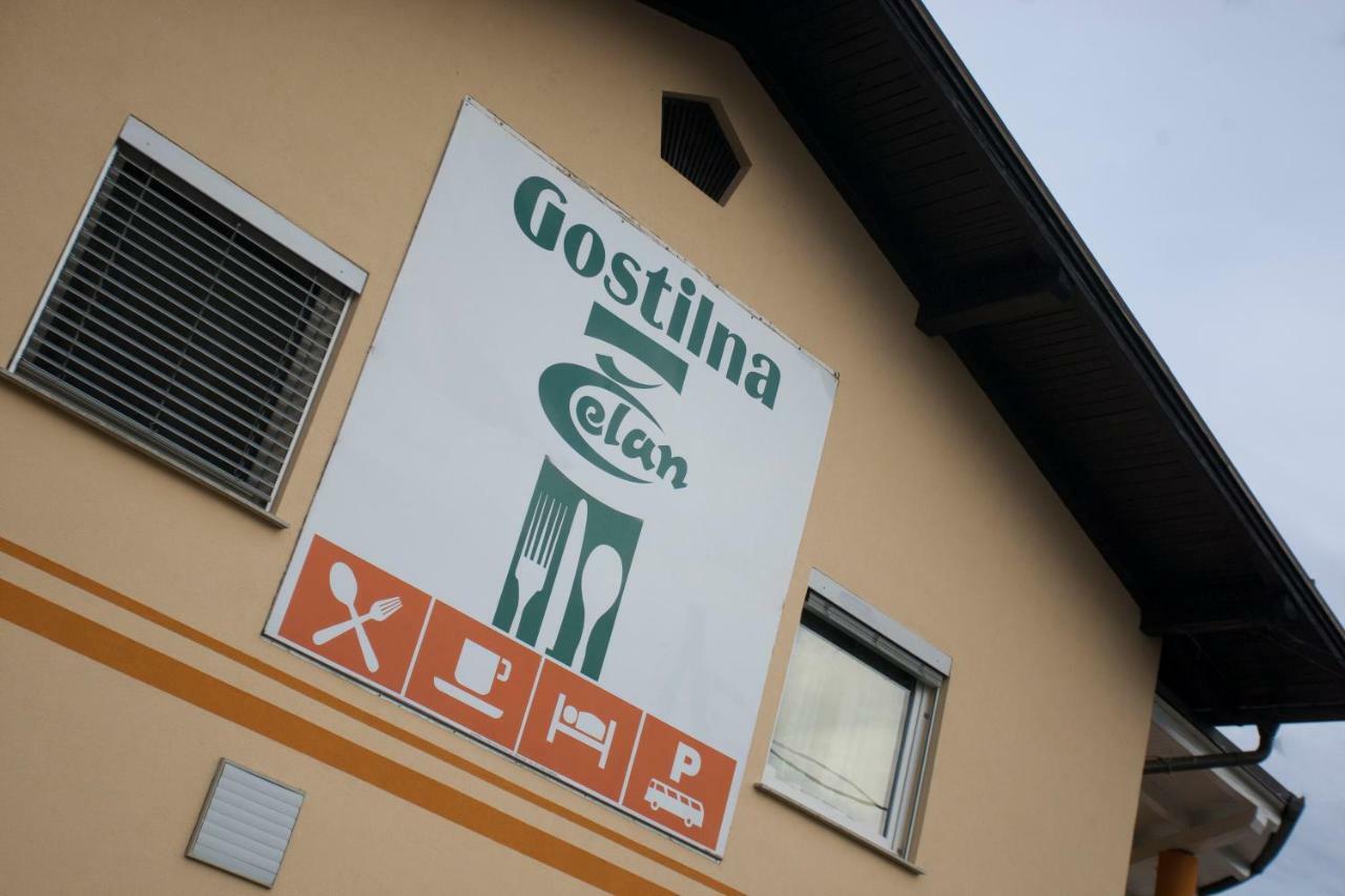 Guest House Celan Spodnja Hajdina Bagian luar foto