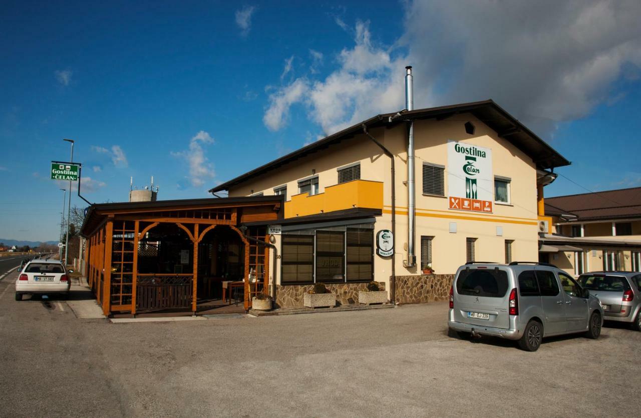Guest House Celan Spodnja Hajdina Bagian luar foto
